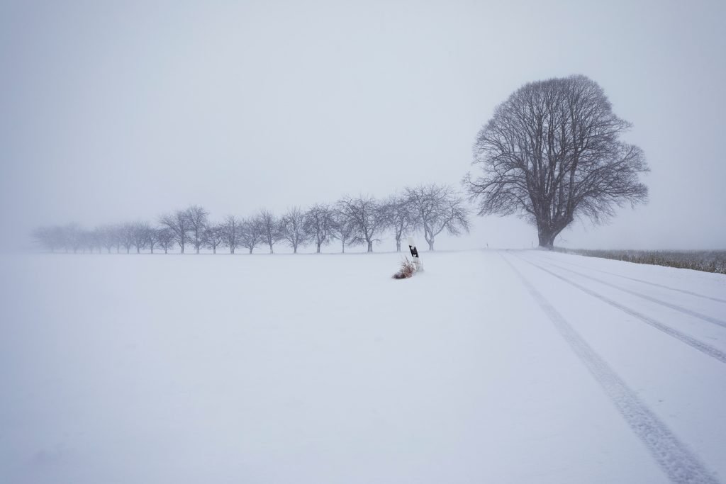 10 Ways To Describe Bad Weather In Norwegian Norwegian Language School