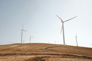 Photo Green Glossary: Environmental Vocabulary for Speaking Norsk with an Eco-Conscious Mind"