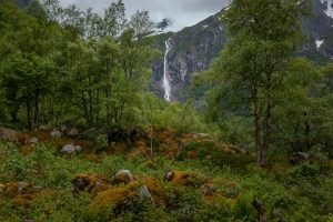 Photo norwegian phrases and pronunciation