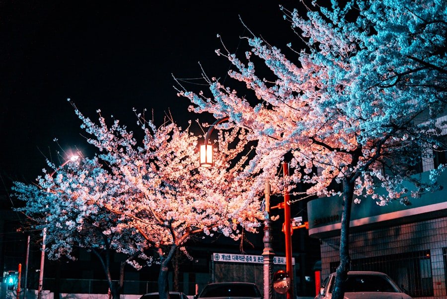 south korea
