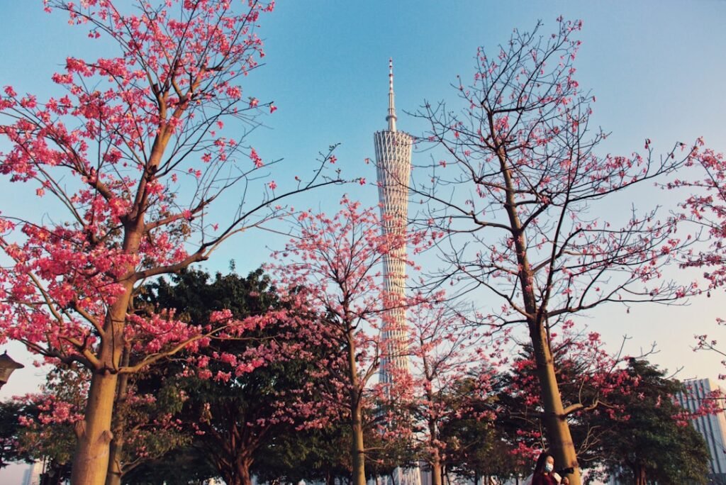 Photo Guangzhou