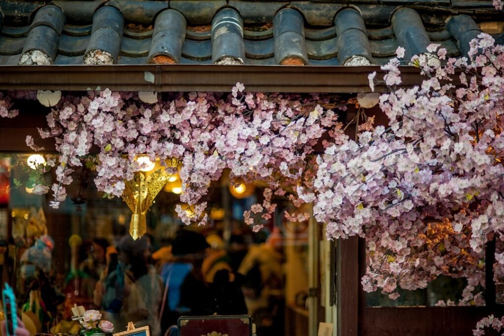 Photo south korea