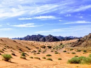 Photo Saudi Arabia