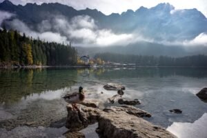 Photo germany