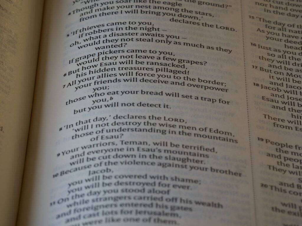 Photo Online Dictionaries