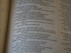 Photo Online Dictionaries