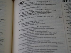 Photo Adverbs