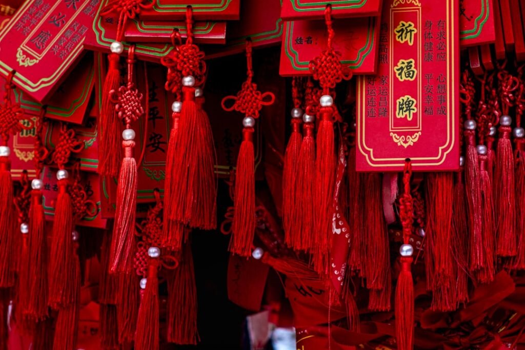 Photo Chinese Commands and Suggestions