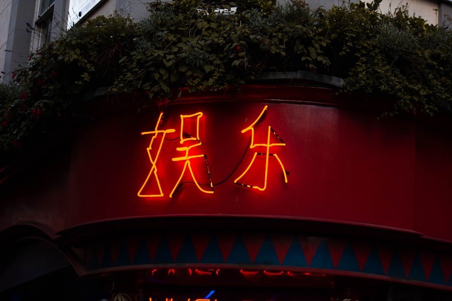 Photo Chinese Commands and Suggestions