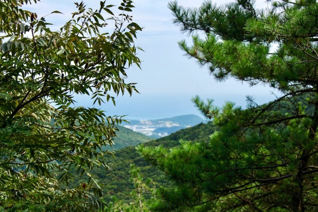 Photo busan South Korea