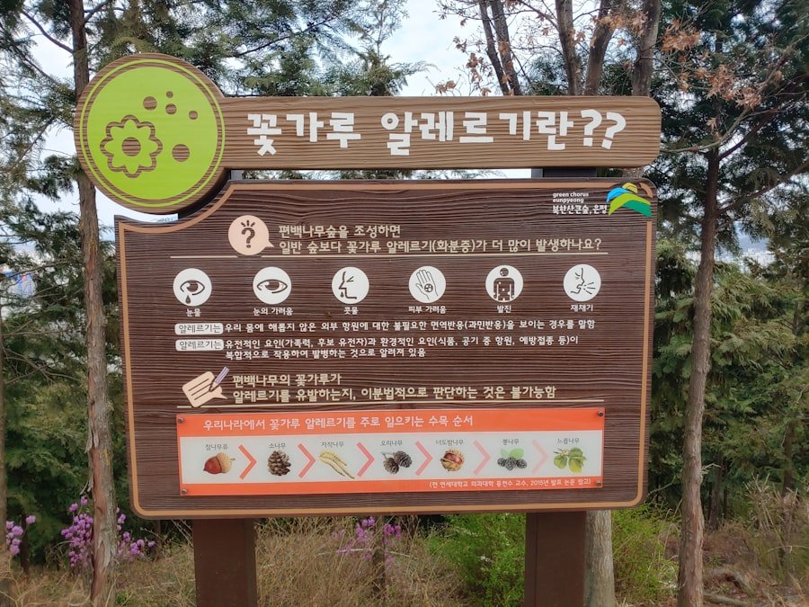 Photo Korean Phrases