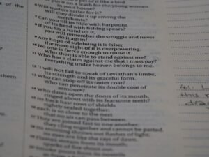Photo Fluent English Connector Phrases