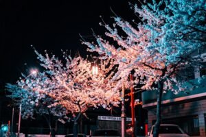 Photo south korea