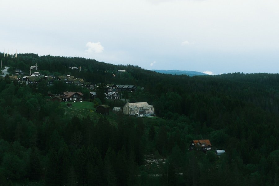 Norway housing
