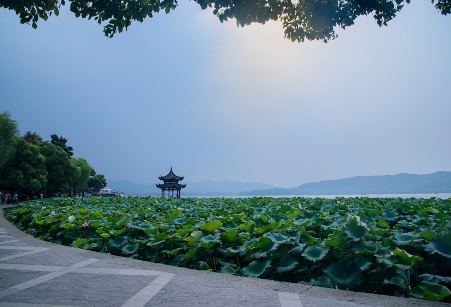 Hangzhou
