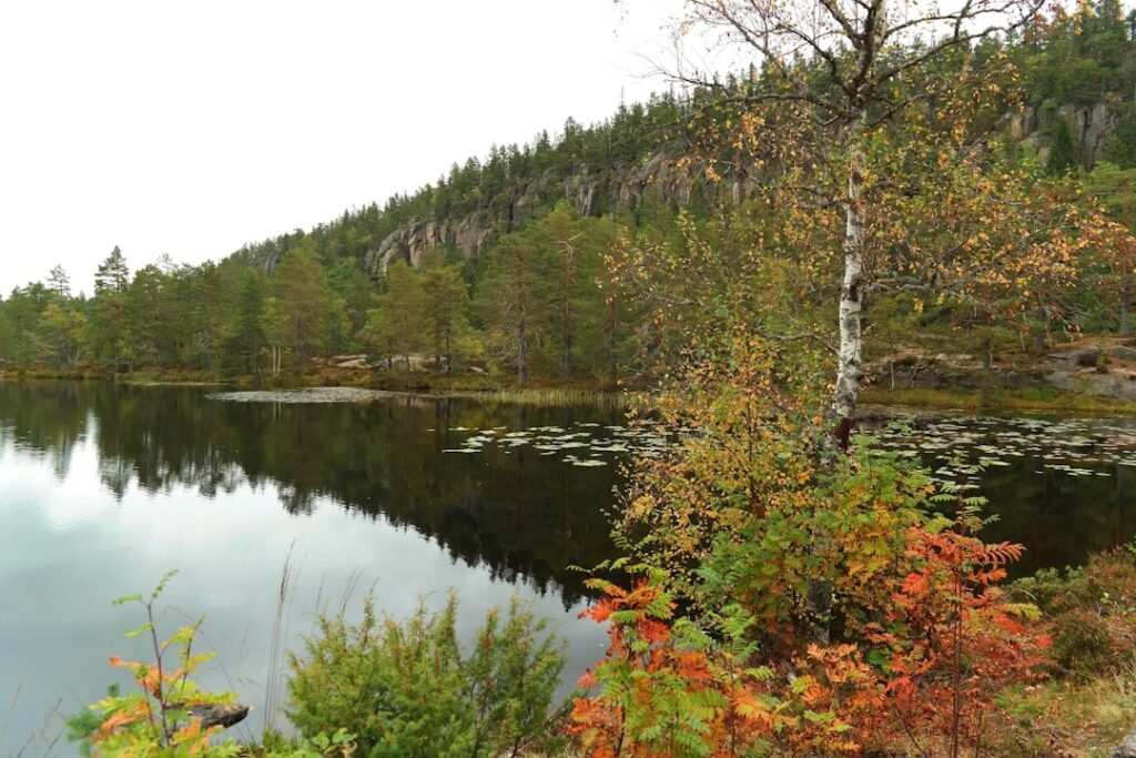 Photo Drammen