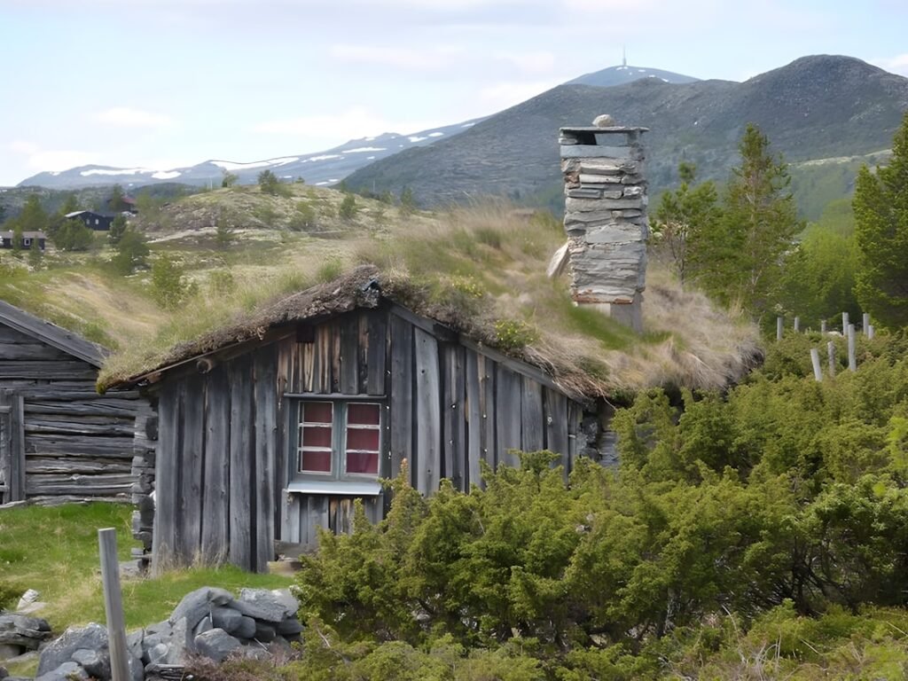 Photo Norway housing