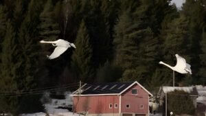 Photo Norway housing