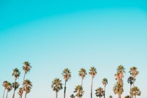 Photo French Classes