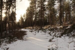 Photo oslo winter