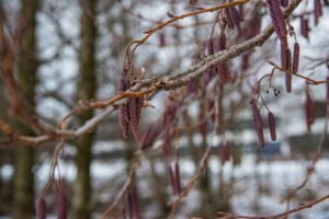 Photo oslo winter
