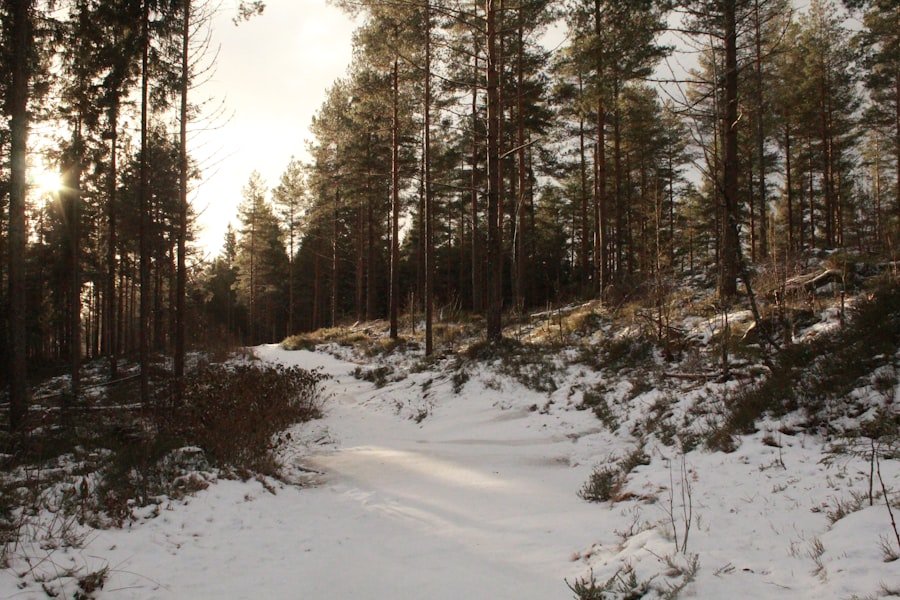 Photo oslo winter 
