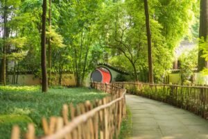 Photo Chengdu