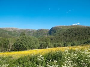 Photo norway summer