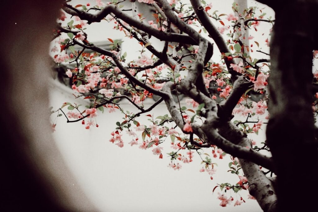 Photo Suzhou