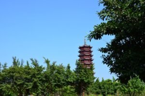 Photo Foshan