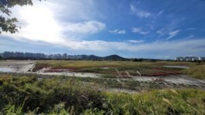 Photo Incheon