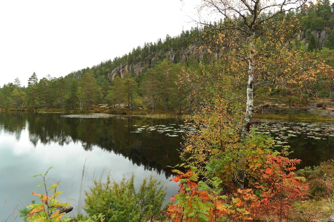 How to Form a Negative Sentence in Norwegian with 