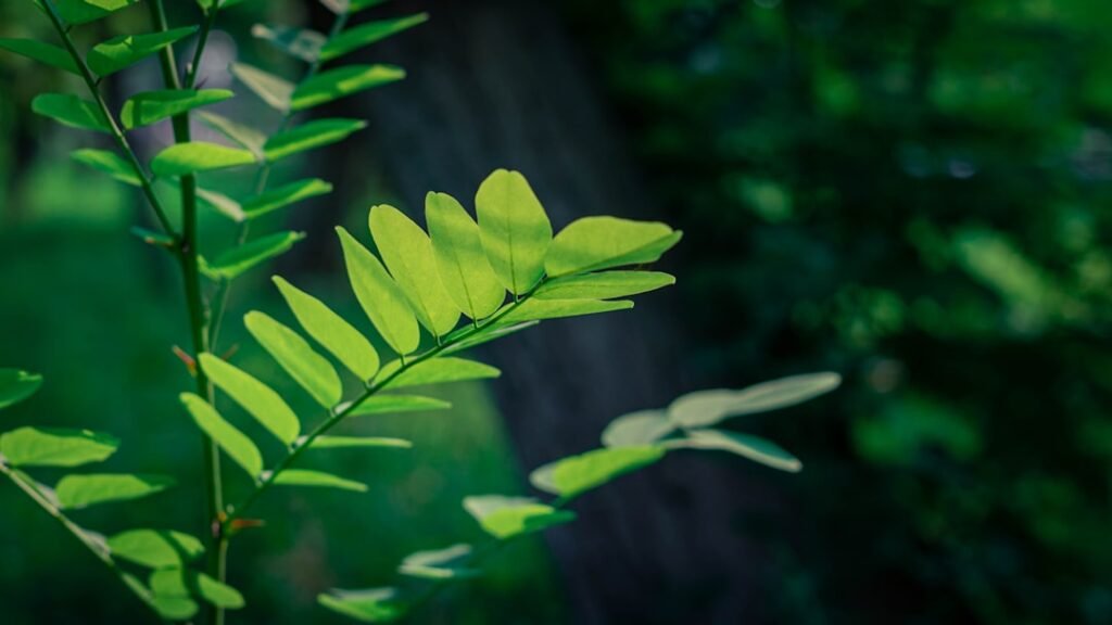 Photo beijing summer