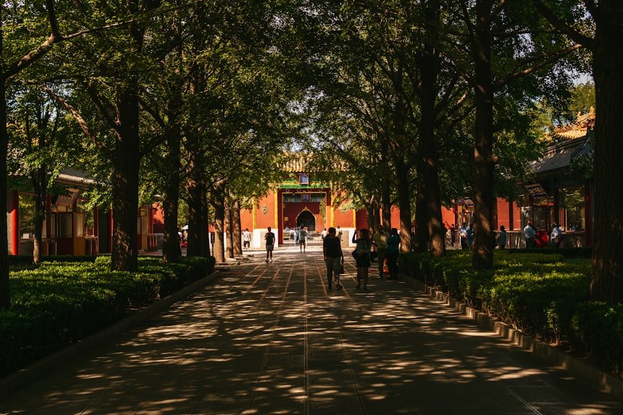 Photo beijing summer
