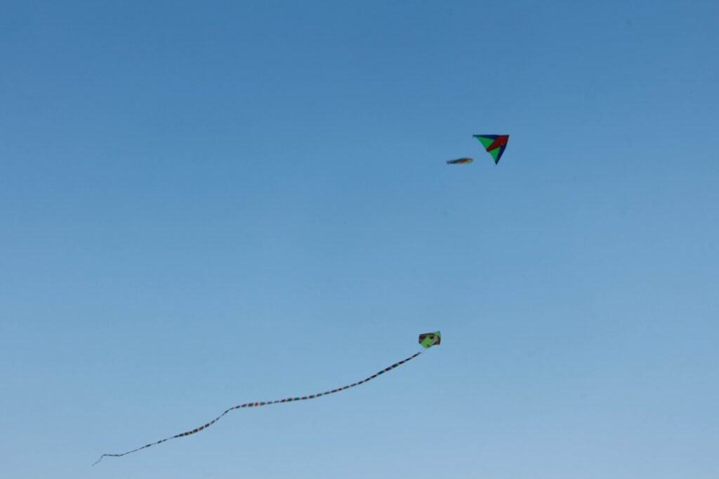 Photo beijing summer