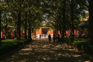 Photo beijing summer